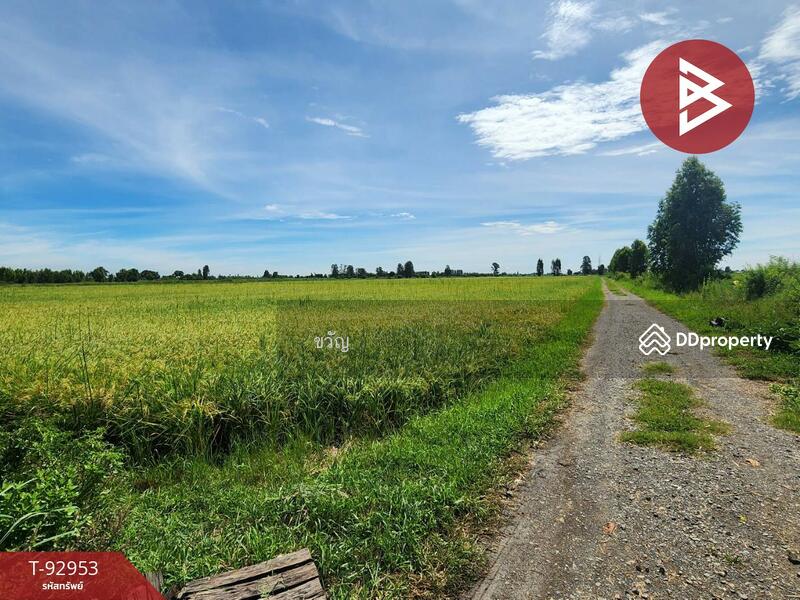 For Sale - ที่ดินอู่ทอง สุพรรณบุรี, Suphan Buri
