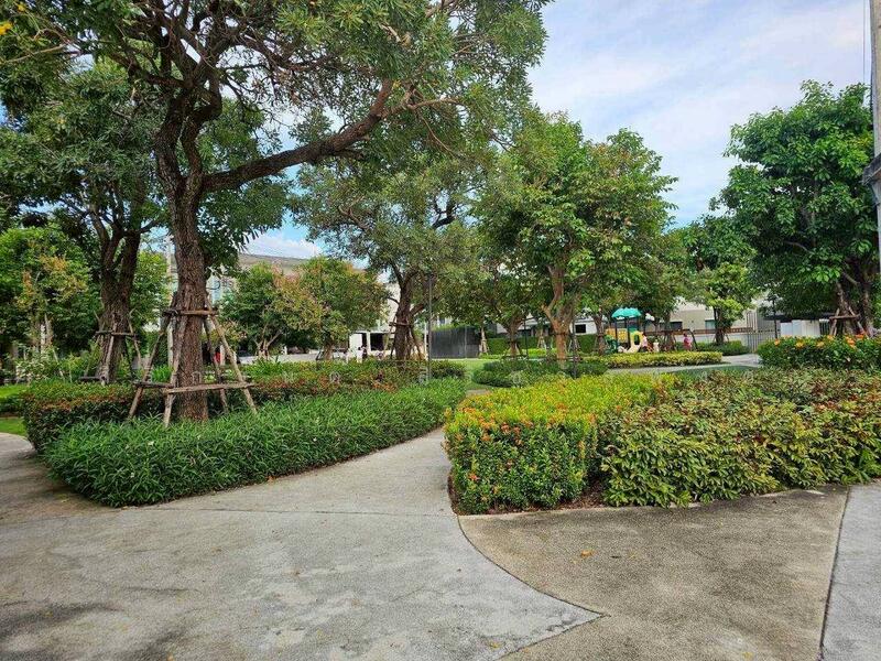 ให้เช่า - Town Avenue Merge Rattanatibet : ทาวน์ อเวนิว เมิร์จ รัตนาธิเบศร์, นนทบุรี