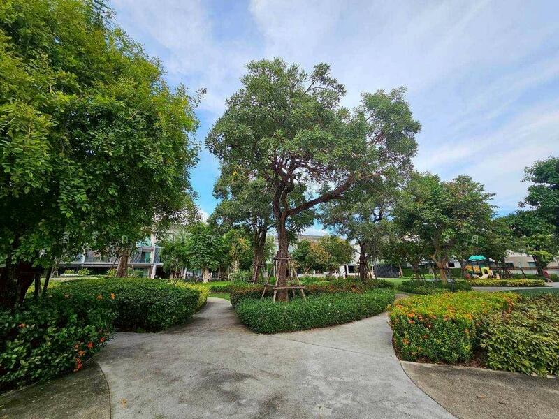 For Rent - Town Avenue Merge Rattanatibet, Nonthaburi