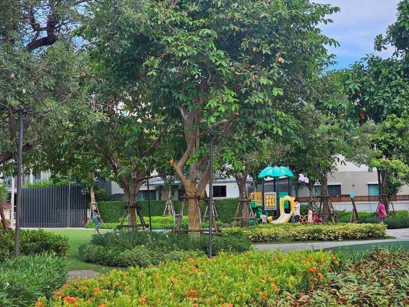 ให้เช่า - Town Avenue Merge Rattanatibet : ทาวน์ อเวนิว เมิร์จ รัตนาธิเบศร์, นนทบุรี