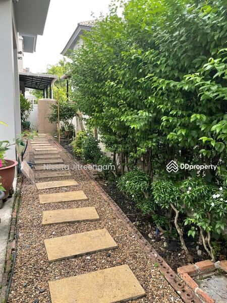 ให้เช่า - ขาย/เช่า บ้านเดี่ยว 2 ชั้น นนทบุรี ขนาด 3 ห้องนอน 3 ห้องน้ำ 52.2 ตร.ว. DBH-9-R053, นนทบุรี