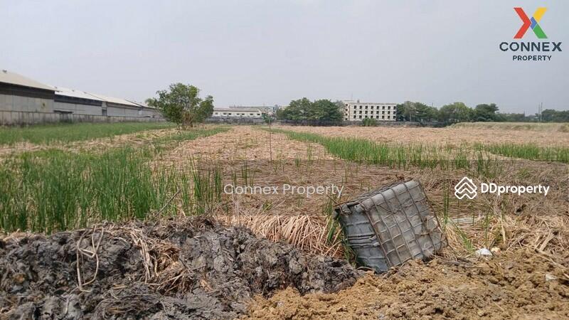 ขาย - ที่ดินเปล่า บางปะอิน อยุธยา Land, Bang Pa-in, Ayutthaya, พระนครศรีอยุธยา