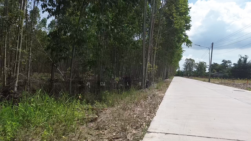 For Sale - Land for sale 12 Rai, Rayong