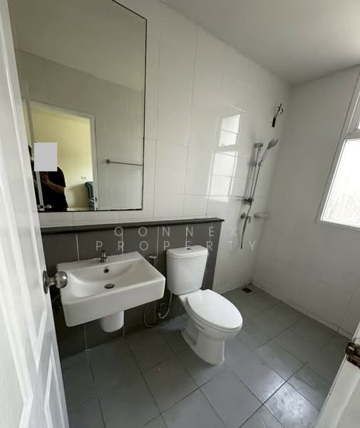 Areeya Daily Kaset-Nawamintr, Bangkok, Ladplakhao Road, Chorake Bua, Lat Phrao, Bangkok, 3 Bedrooms, 170 sqm, Townhouse For Sale, by Connex Property, 11535612 - DDproperty.com