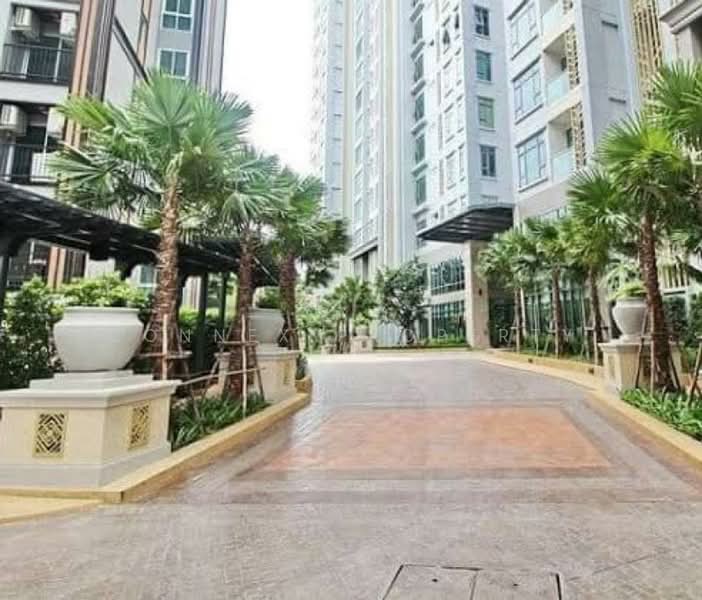 Mayfair Place Sukhumvit 50 : เมย์แฟร์ เพลส สุขุมวิท 50, กรุงเทพ, ซอยสุขุมวิท 50, พระโขนง, คลองเตย, กรุงเทพ, 35 ตร.ม., คอนโด ขาย, โดย Connex Property, 11535712 - DDproperty.com