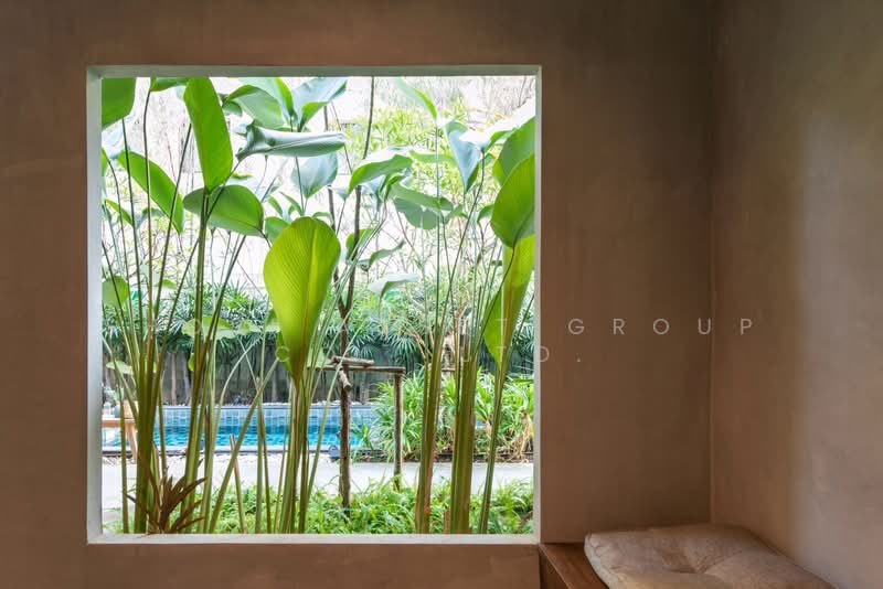 นิมมาน, Chiang Mai, Su Thep, Muang Chiang Mai, Chiang Mai, , 1,000 sqm, Business For Sale, by Shori Asset Group Co., Ltd., 11536024 - DDproperty.com