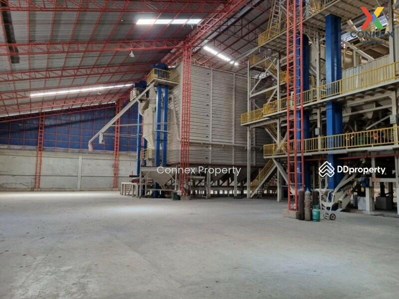 For Sale - โรงสีข้าว ขนาด 90 ไร่ Rice mill 90 rai, Nakhon Sawan