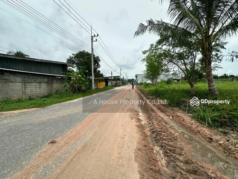 For Sale - Land for sale in Nong Suea Chang, Nong Yai, cheap price, Chon Buri
