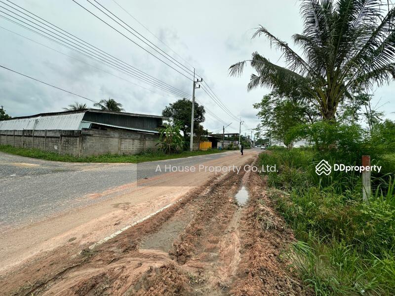 For Sale - Land for sale in Nong Suea Chang, Nong Yai, cheap price, Chon Buri