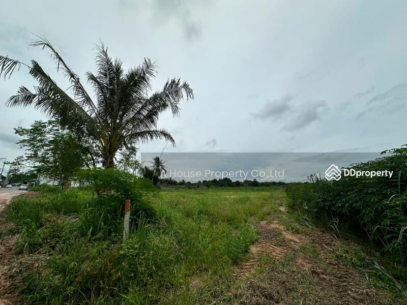 For Sale - Land for sale in Nong Suea Chang, Nong Yai, cheap price, Chon Buri