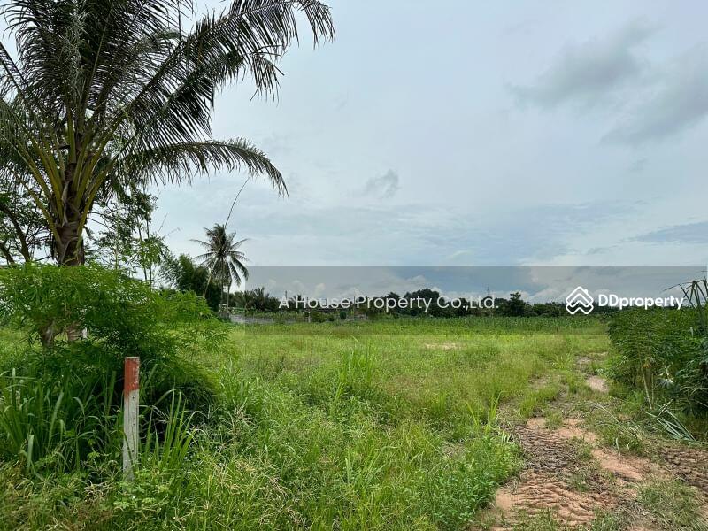 For Sale - Land for sale in Nong Suea Chang, Nong Yai, cheap price, Chon Buri