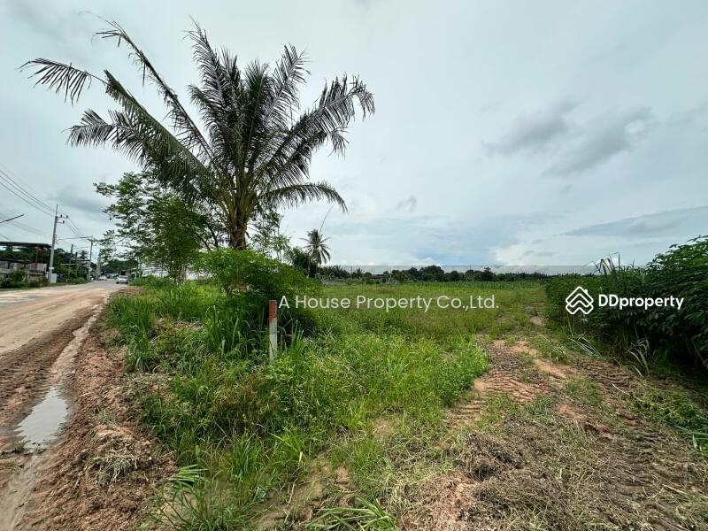 For Sale - Land for sale in Nong Suea Chang, Nong Yai, cheap price, Chon Buri