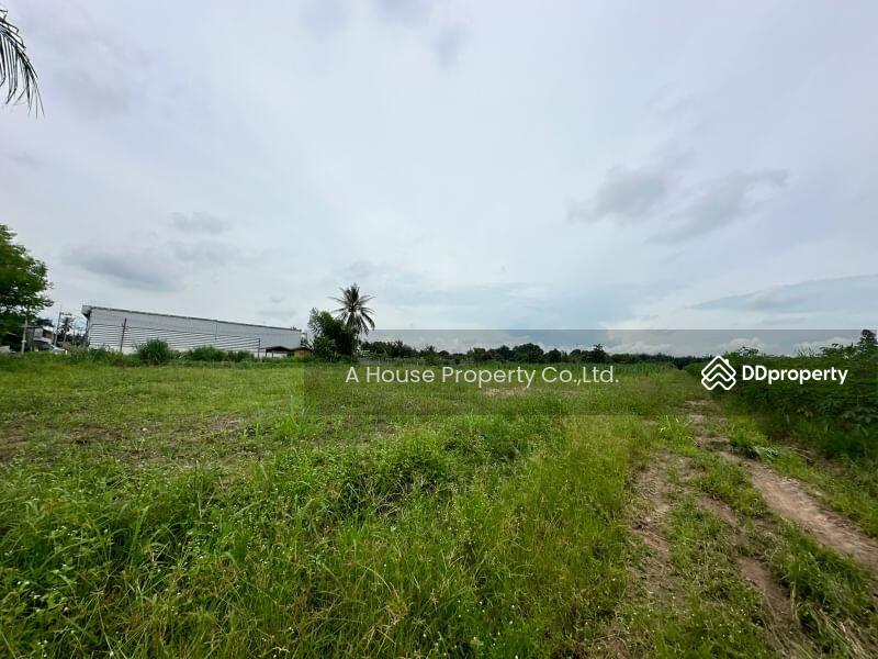 For Sale - Land for sale in Nong Suea Chang, Nong Yai, cheap price, Chon Buri