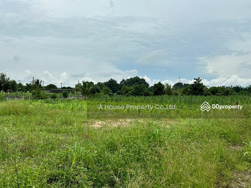 For Sale - Land for sale in Nong Suea Chang, Nong Yai, cheap price, Chon Buri