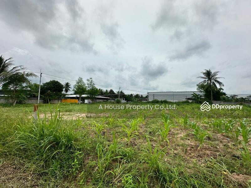 For Sale - Land for sale in Nong Suea Chang, Nong Yai, cheap price, Chon Buri