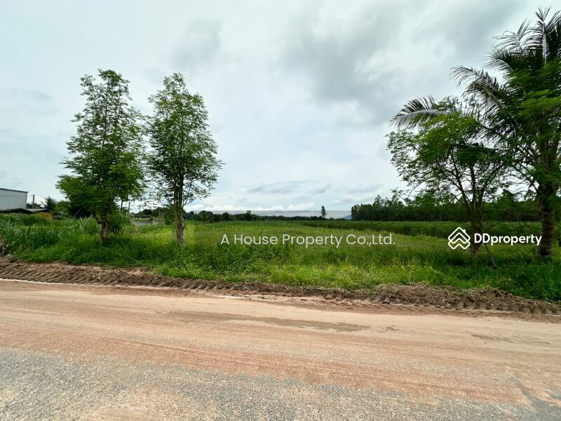 For Sale - Land for sale in Nong Suea Chang, Nong Yai, cheap price, Chon Buri