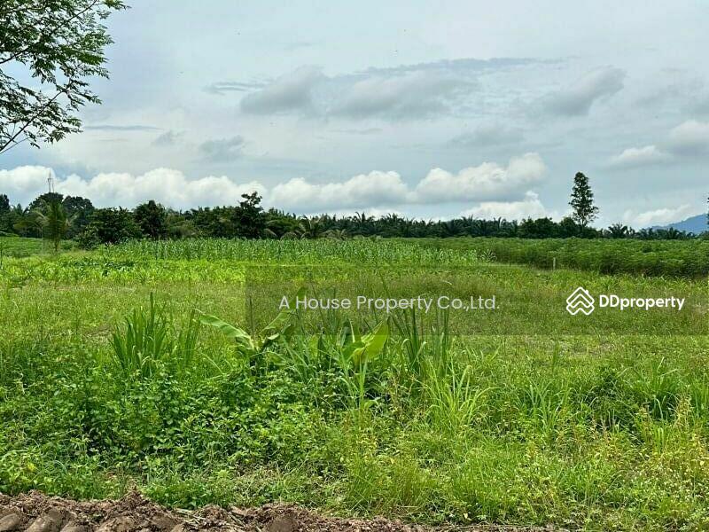 For Sale - Land for sale in Nong Suea Chang, Nong Yai, cheap price, Chon Buri