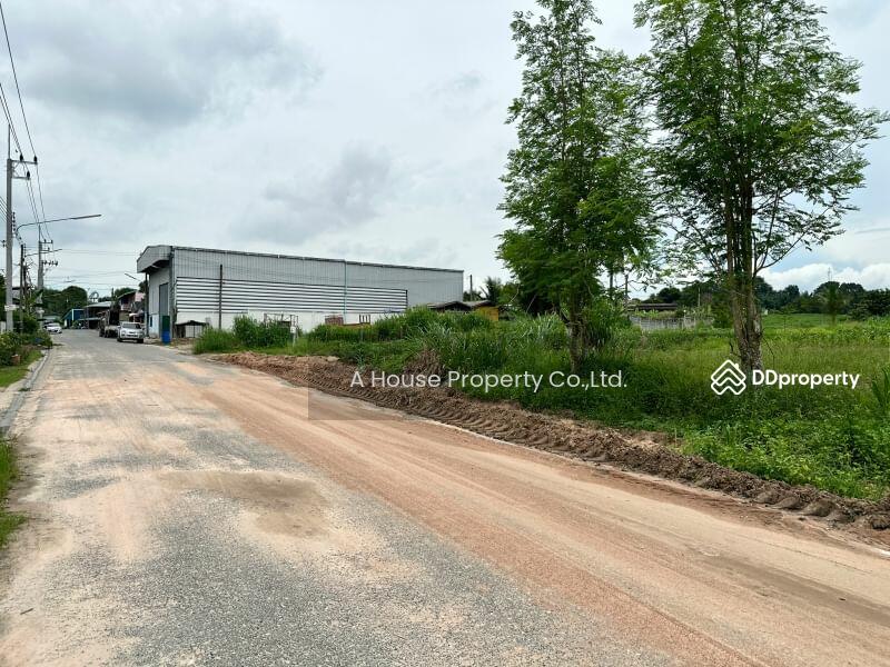For Sale - Land for sale in Nong Suea Chang, Nong Yai, cheap price, Chon Buri