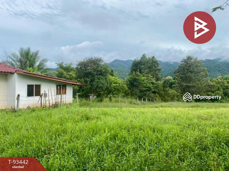ขาย - บ้านเดี่ยวพร้อมที่ดินนครไทย พิษณุโลก, พิษณุโลก