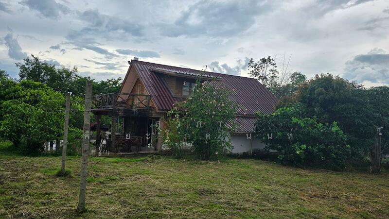 ขาย - วังน้ำเขียว รีสอร์ท, นครราชสีมา