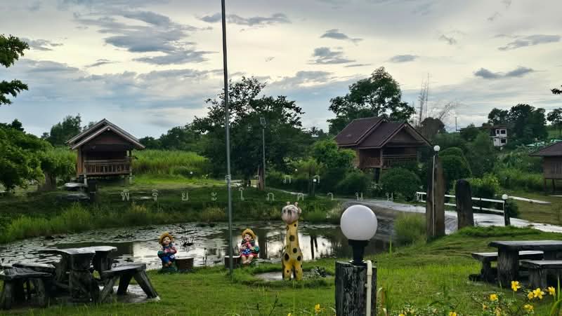 วังน้ำเขียว รีสอร์ท, Nakhon Ratchasima, Wang Nam Khieo, Wang Nam Khieo, Nakhon Ratchasima, , 12,800 sqm, Land For Sale, by สุวภา พิริยะโภคานนท์, 11539254 - DDproperty.com