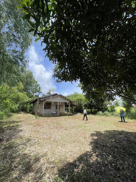 ขาย - ขายที่ดินระยอง อ.แกลง ต.ซางพง เนื้อที่ 3 ไร่ 3 งาน, ระยอง