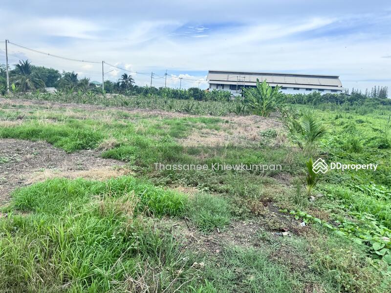 For Sale - Land for sale, factory, warehouse, area 8 rai 2 ngan, next to the road, near Ban Phaeo Hospital., Samut Sakhon