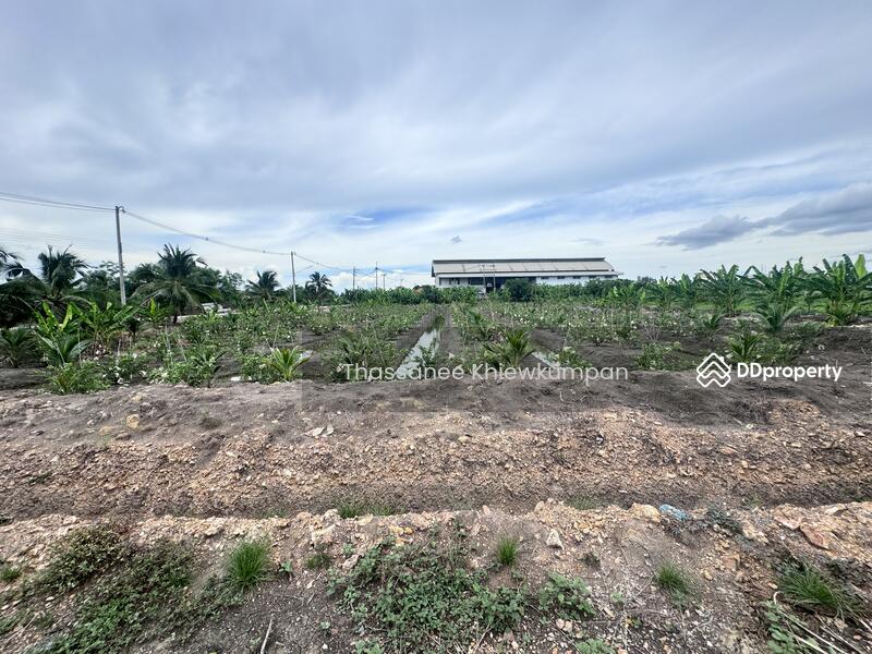 For Sale - Land for sale, factory, warehouse, area 8 rai 2 ngan, next to the road, near Ban Phaeo Hospital., Samut Sakhon