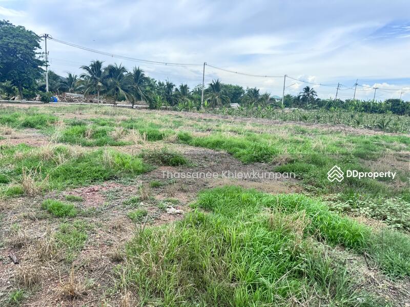 For Sale - Land for sale, factory, warehouse, area 8 rai 2 ngan, next to the road, near Ban Phaeo Hospital., Samut Sakhon