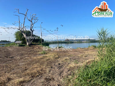 ขาย - ที่ดินเนินสะแกซอย2 อำเภอพานทอง ชลบุรี เนื้อที่ 32 ไร่ 22 ตารางวา (ทำเลดีเหมาะทำโครงการจัดสรร), ชลบุรี