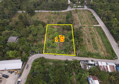 ขาย - ที่ดิน บางกรวย-ไทรน้อย บางกร่าง, นนทบุรี