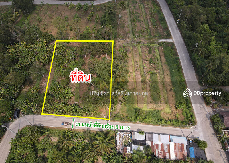 ขาย - ที่ดิน บางกรวย-ไทรน้อย บางกร่าง, นนทบุรี