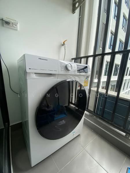 Rye Sukhumvit 101/1, Bangkok, Soi Wachiratham Sathit 29/2, Bang Chak, Phra Khanong, Bangkok, 1 Bedroom, 30 sqm, Condo For Rent, by Living Condo, 11543872 - DDproperty.com