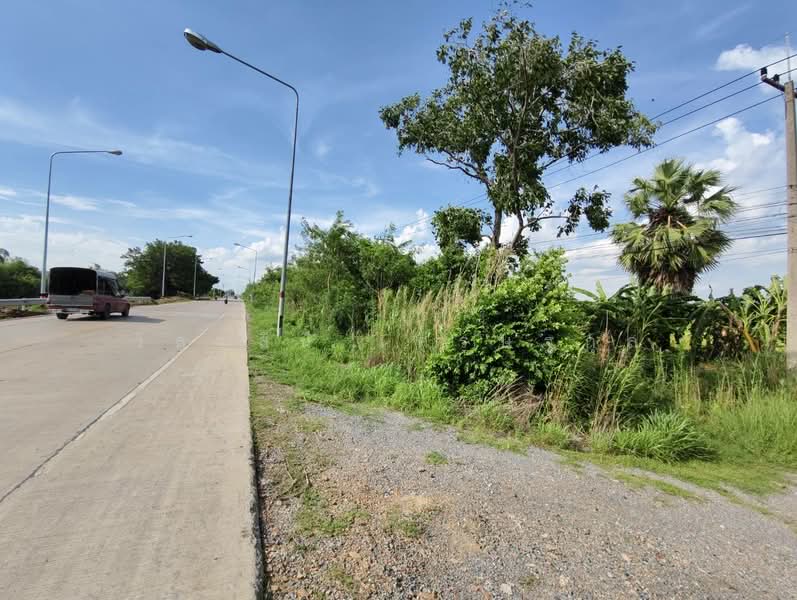 ที่ดิน 14 ไร่ ระแหง ลาดหลุมแก้ว บางเลน ปทุมธานี, ปทุมธานี, ปทุมธานี บางเลน, ระแหง, ลาดหลุมแก้ว, ปทุมธานี, 23,876 ตร.ม., ที่ดิน ขาย, โดย วิลาสินี เศรษฐกุล, 11544035 - DDproperty.com