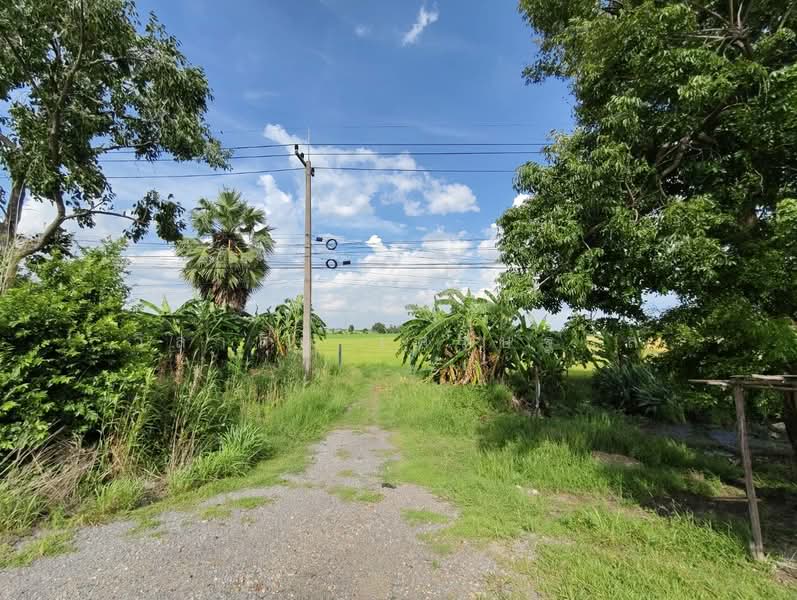 ที่ดิน 14 ไร่ ระแหง ลาดหลุมแก้ว บางเลน ปทุมธานี, pathum-thani, ปทุมธานี บางเลน, Ra Haeng, Lat Lum Kaeo, Pathum Thani, , 23,876 sqm, Land For Sale, by วิลาสินี เศรษฐกุล, 11544035 - DDproperty.com
