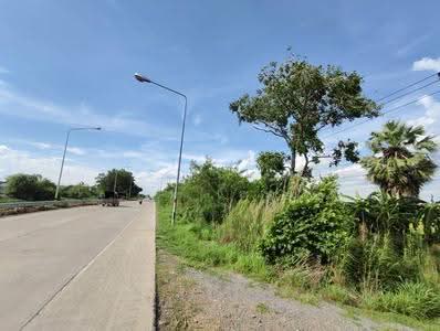 ขาย - ที่ดิน 14 ไร่ ระแหง ลาดหลุมแก้ว บางเลน ปทุมธานี, ปทุมธานี