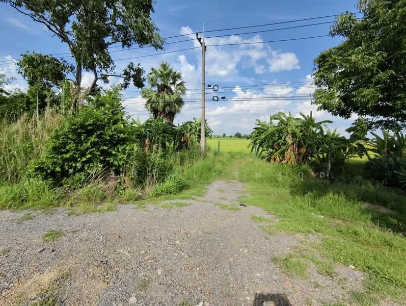 ที่ดิน 14 ไร่ ระแหง ลาดหลุมแก้ว บางเลน ปทุมธานี, ปทุมธานี, ปทุมธานี บางเลน, ระแหง, ลาดหลุมแก้ว, ปทุมธานี, 23,876 ตร.ม., ที่ดิน ขาย, โดย วิลาสินี เศรษฐกุล, 11544035 - DDproperty.com