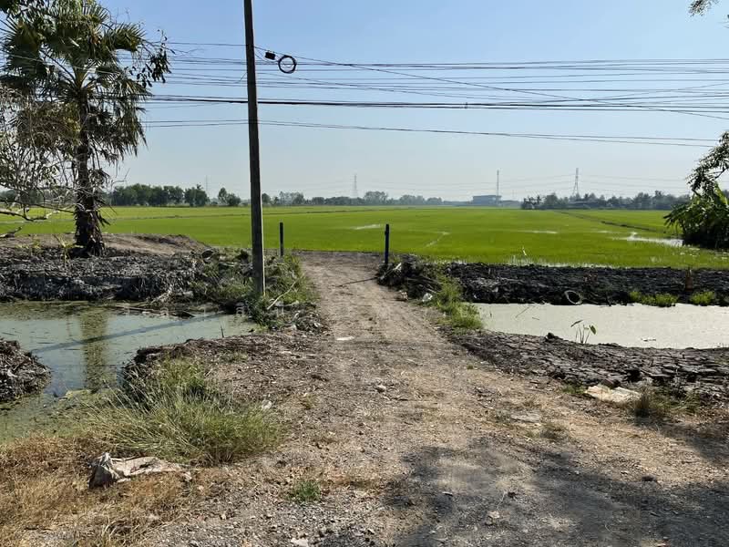 ที่ดิน 14 ไร่ ระแหง ลาดหลุมแก้ว บางเลน ปทุมธานี, ปทุมธานี, ปทุมธานี บางเลน, ระแหง, ลาดหลุมแก้ว, ปทุมธานี, 23,876 ตร.ม., ที่ดิน ขาย, โดย วิลาสินี เศรษฐกุล, 11544035 - DDproperty.com