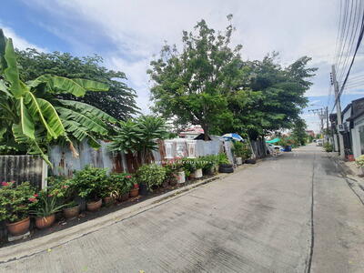 ขาย - 44135 – ขายที่ดิน ถนนสุขุมวิท 77 ซอยอ่อนนุช 70 ใกล้ MRT ศรีนุช เนื้อที่ 2-0-51 ไร่, กรุงเทพ