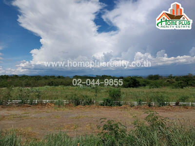 ขาย - ตำบลปากช่อง อำเภอปากช่อง นครราชสีมา, นครราชสีมา