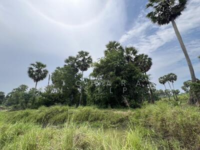 ขาย - ขายที่ดินแปลงสวย ทำเลดี อ.สทิงพระ จ.สงขลา ใกล้แหล่งชุมชน, สงขลา