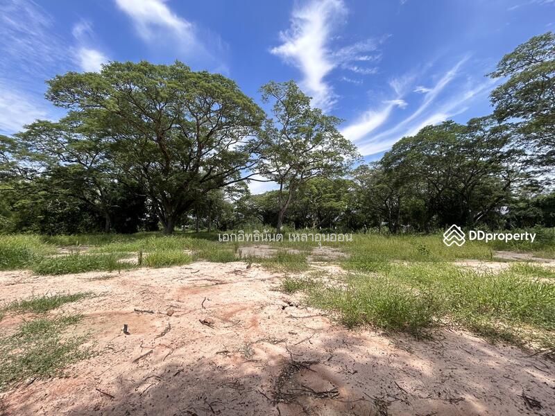 For Sale - 61000, Uthai Thani