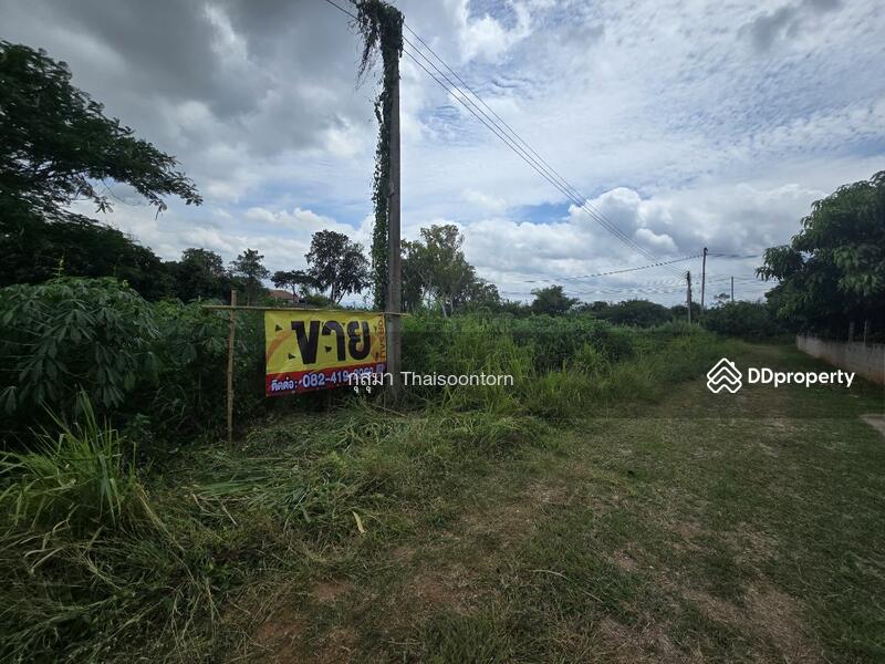 For Sale - ขาย, Nakhon Ratchasima