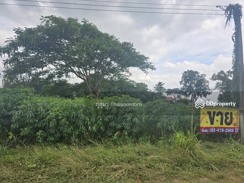 For Sale - ขาย, Nakhon Ratchasima