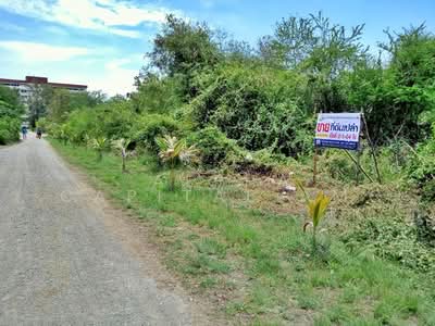 ขาย - ขายที่ดิน BYD_007_G01_C015, เพชรบุรี