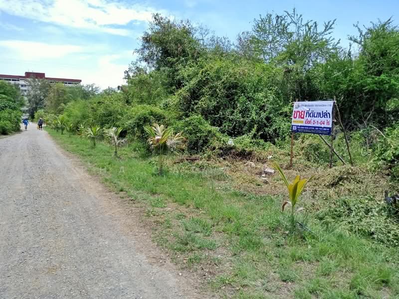 Sale Vacant Land BYD_007_G01_C015, Phetchaburi, คันกั้นน้ำเค็ม, Pik Tien, Tha Yang, Phetchaburi, , 416 sqm, Land For Sale, by Alpha Capital AMC, 11550226 - DDproperty.com