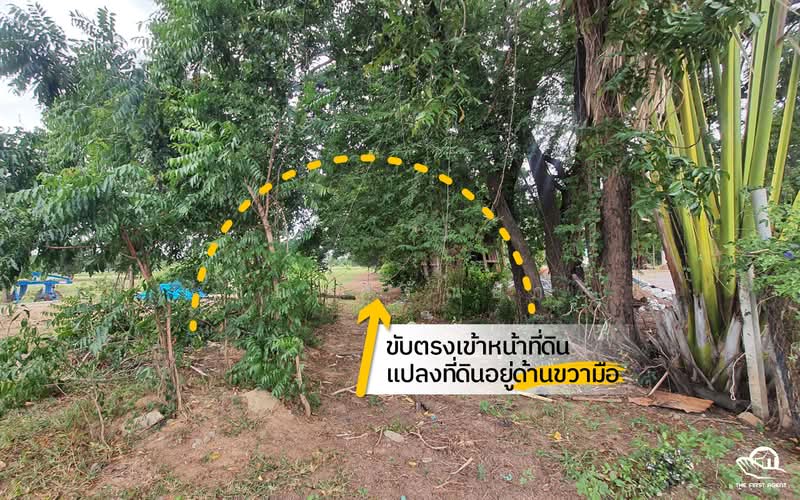 ที่ดินโคกสลุง, Lop Buri, Khok Salung, Phatthana Nikhom, Lop Buri, , 5,496 sqm, Land For Sale, by ศรัณยา เศรษฐ์สันติพงศ์, 11550992 - DDproperty.com
