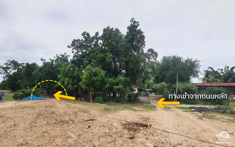 ที่ดินโคกสลุง, ลพบุรี, โคกสลุง, พัฒนานิคม, ลพบุรี, 5,496 ตร.ม., ที่ดิน ขาย, โดย ศรัณยา เศรษฐ์สันติพงศ์, 11550992 - DDproperty.com