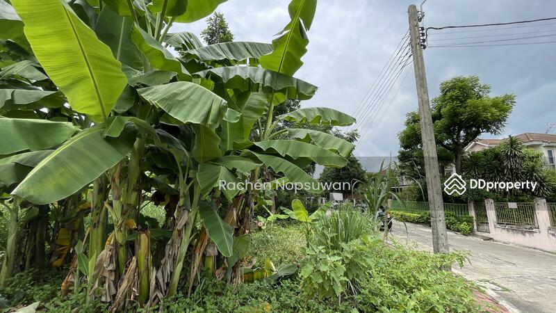 For Sale - Chaiyaphruek 1, Bangkok