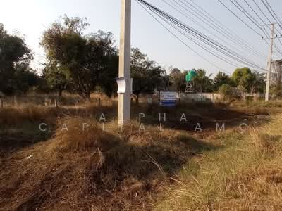 ขาย - ขายที่ดิน ZB_115_G01, กาฬสินธุ์